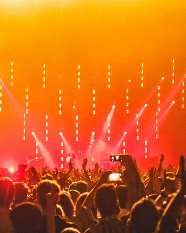 A crowd at a live concert